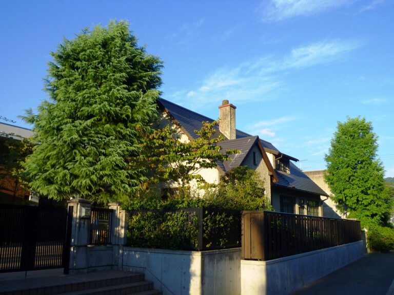 Kyoto Institute of Technology: A Story of Fibre, Science and International Reach