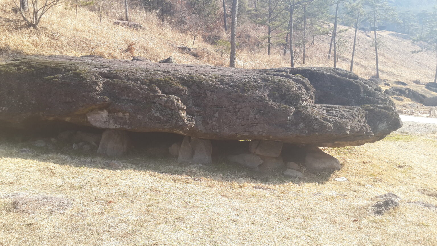 A dolmen at the Hwasun cluster: a long flat capstone raised on small supporting stones in dry grass
