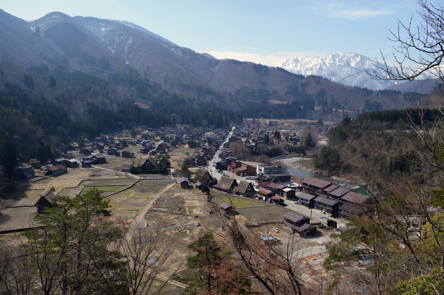 A view down over the village of Ogimachi from the hillside: thatched roofs among paddies, with wooded mountains all around