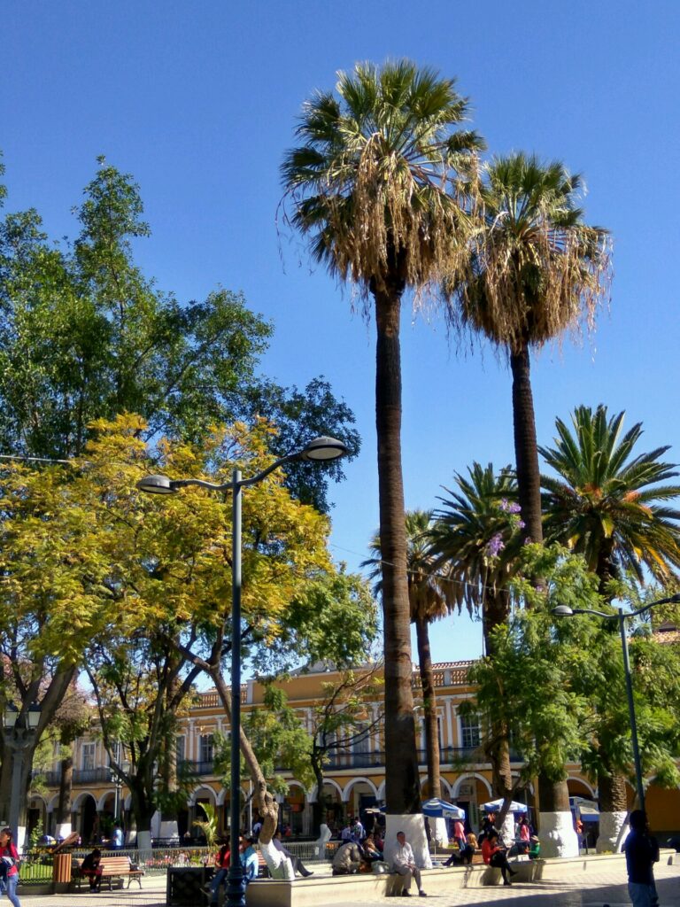 Plaza 14 de Septiembre in historic central Cochabamba