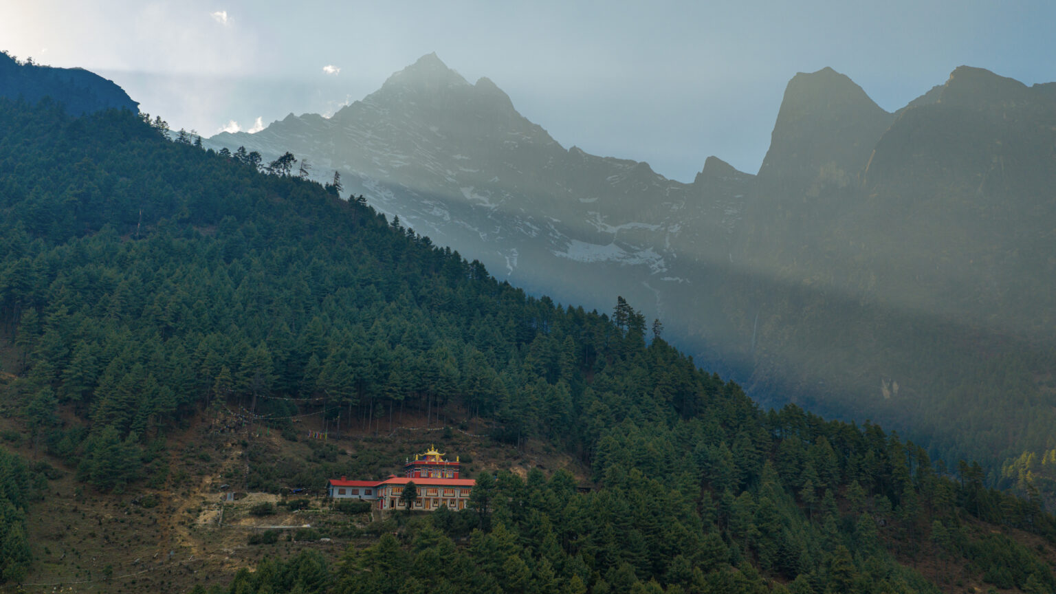 Buildings of Phakding monastery among dense pine forest on a misty mountainside