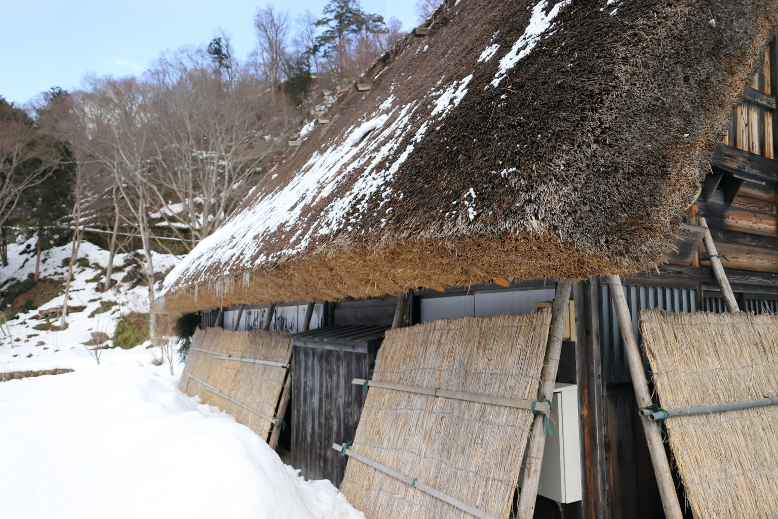 Panels of new thatch stacked against the eaves of a gasshō roof in the snow, the old thatch above them worn grey