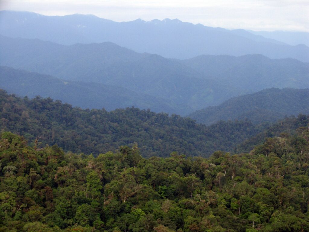 Forested ridges of the Talamanca Range in La Amistad National Park, Costa Rica