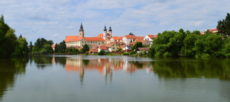 Národní památkový ústav: A Century of Custodianship in the Czech Lands