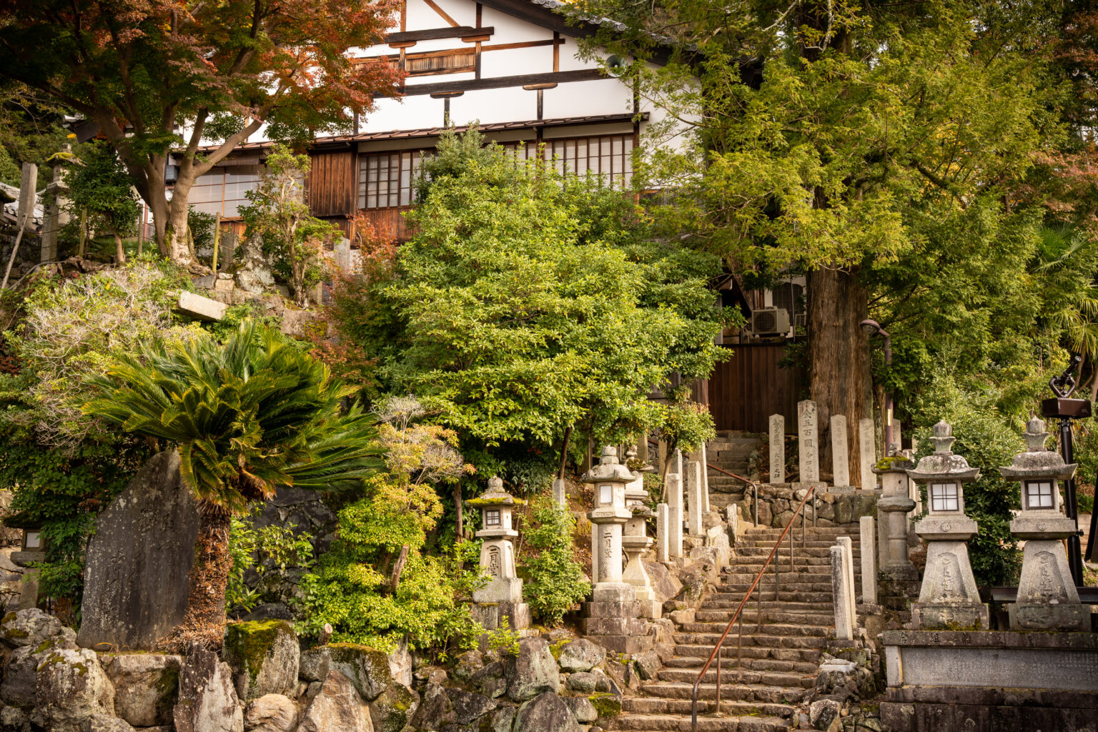 A stone stairway climbing between rows of moss-covered stone lanterns under tall trees towards Kasuga-taisha