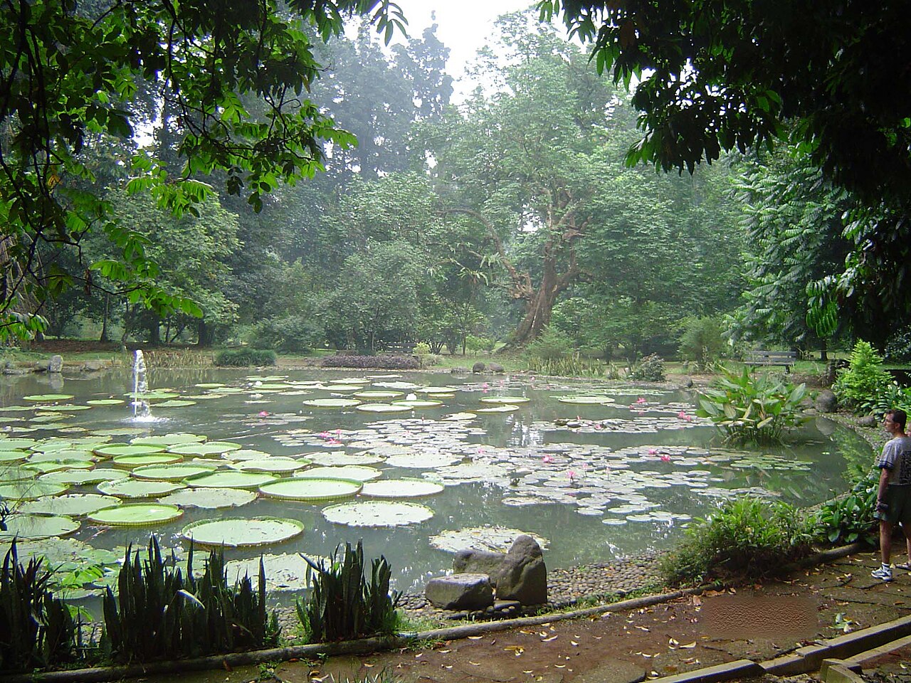 Bogor Botanical Gardens, Indonesia