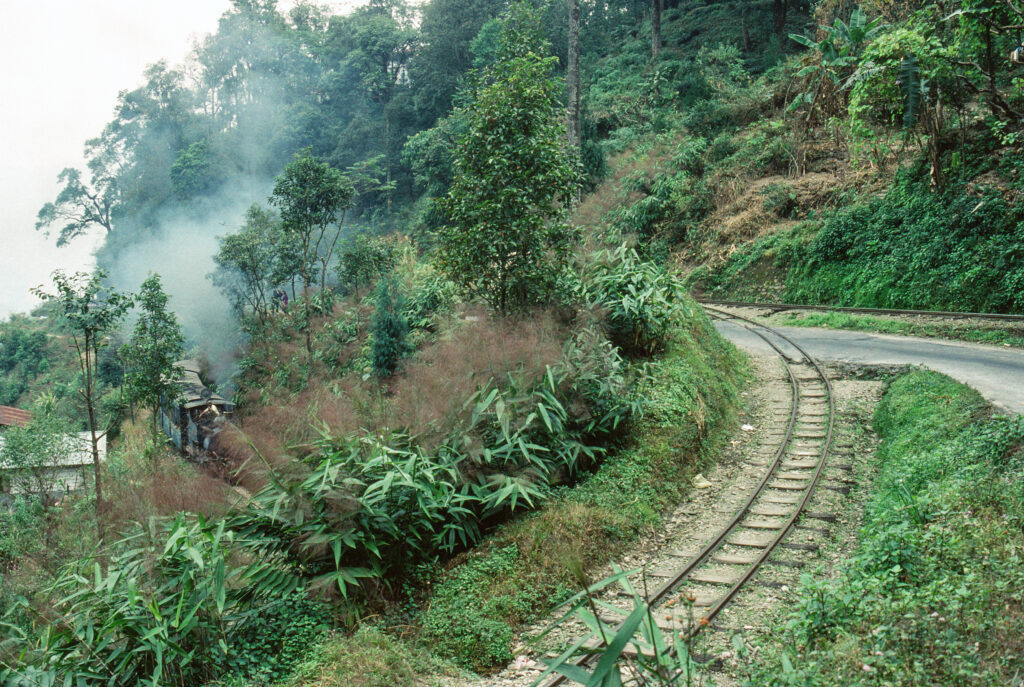 A narrow two-foot-gauge railway track curving through dense green forest on the climb to Darjeeling