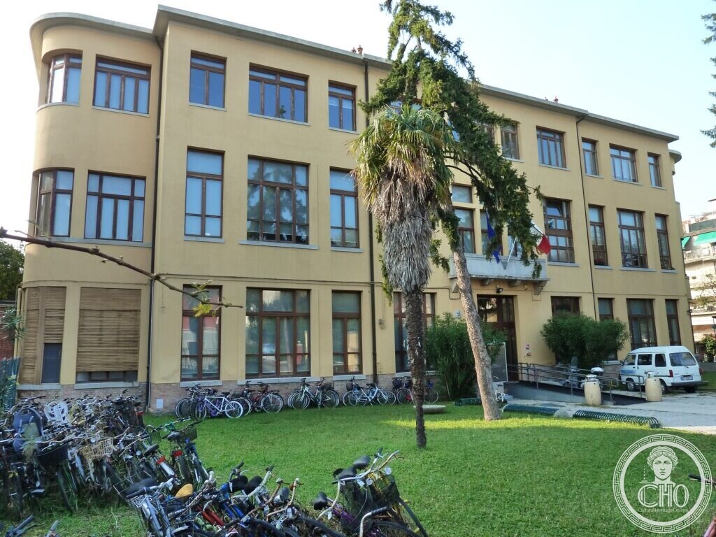The same yellow school seen from the garden, with the rounded corner on the left, a palm tree in front of the entrance and bicycles parked on the grass