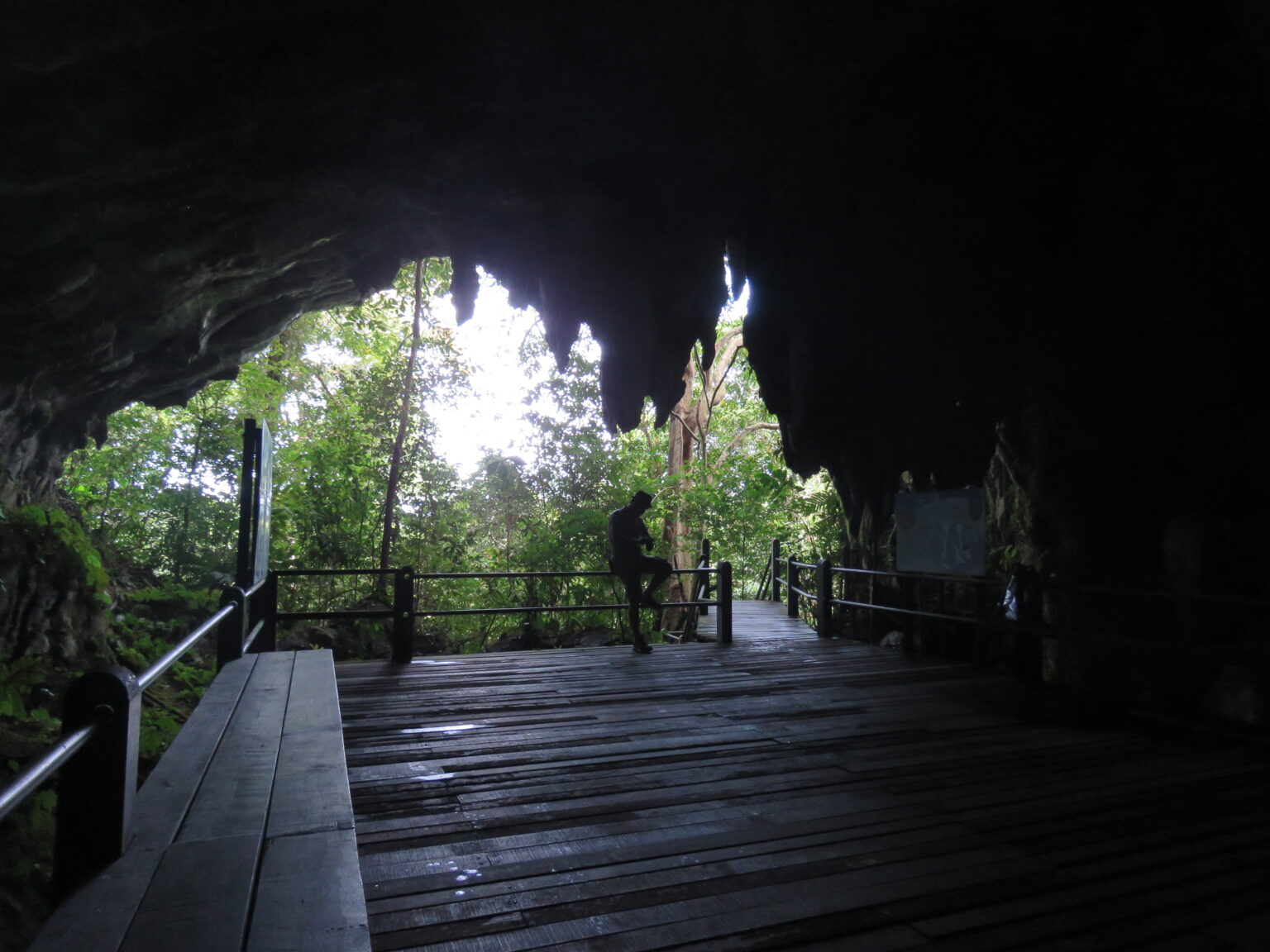 A wooden walkway inside the mouth of the Cave of the Winds, looking out to the sunlit forest