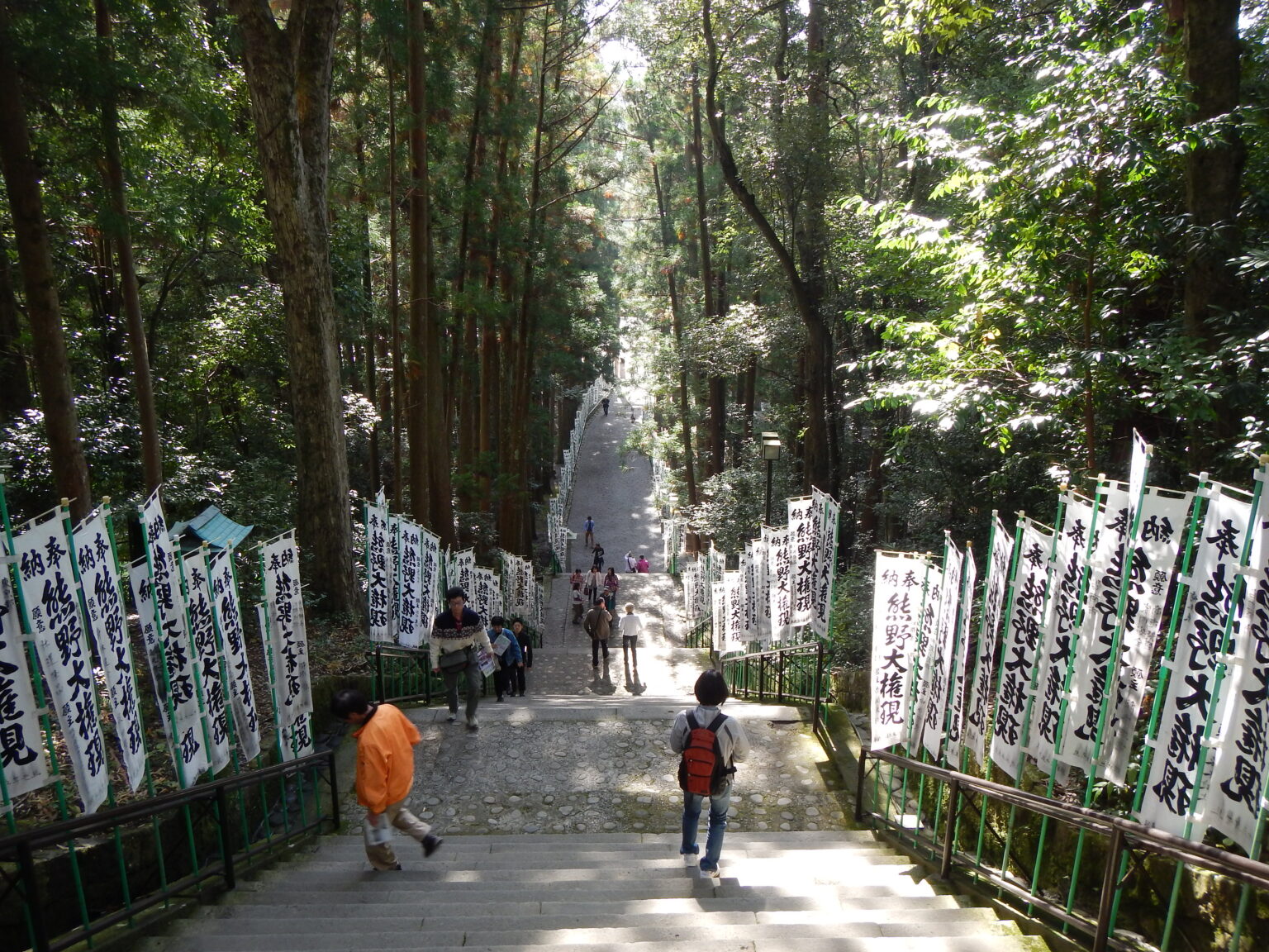 A broad path lined with tall white banners leading through cedar woods towards a shrine