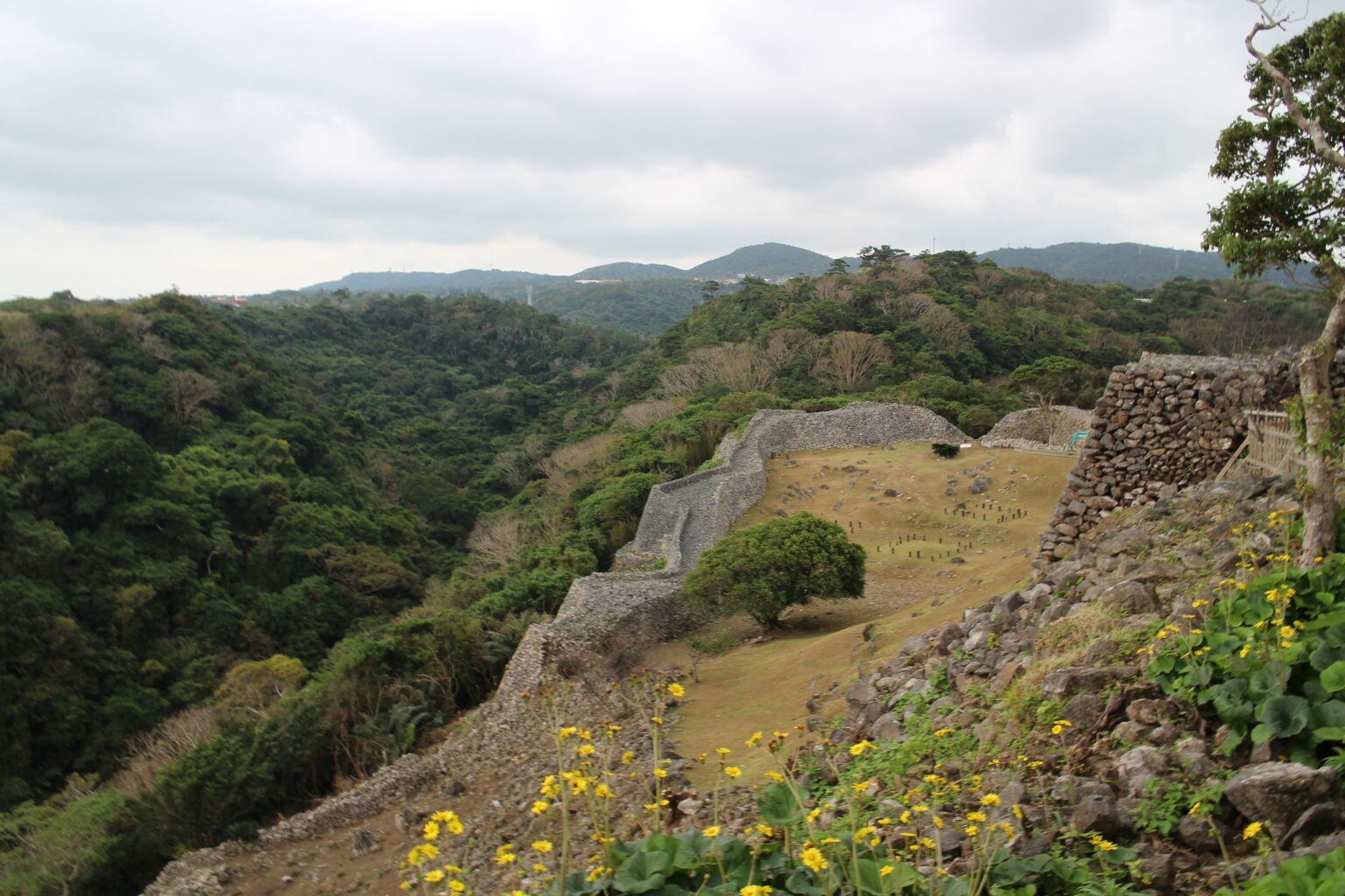 A stone wall running along a wooded ridge, with hills and the sea beyond